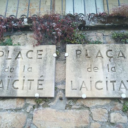 Au Pied Du Chateau - 5 A 11 Personnes - Baignade-Canoe-Piste Cyclable A 100 M Castelnaud-la-Chapelle Exterior foto