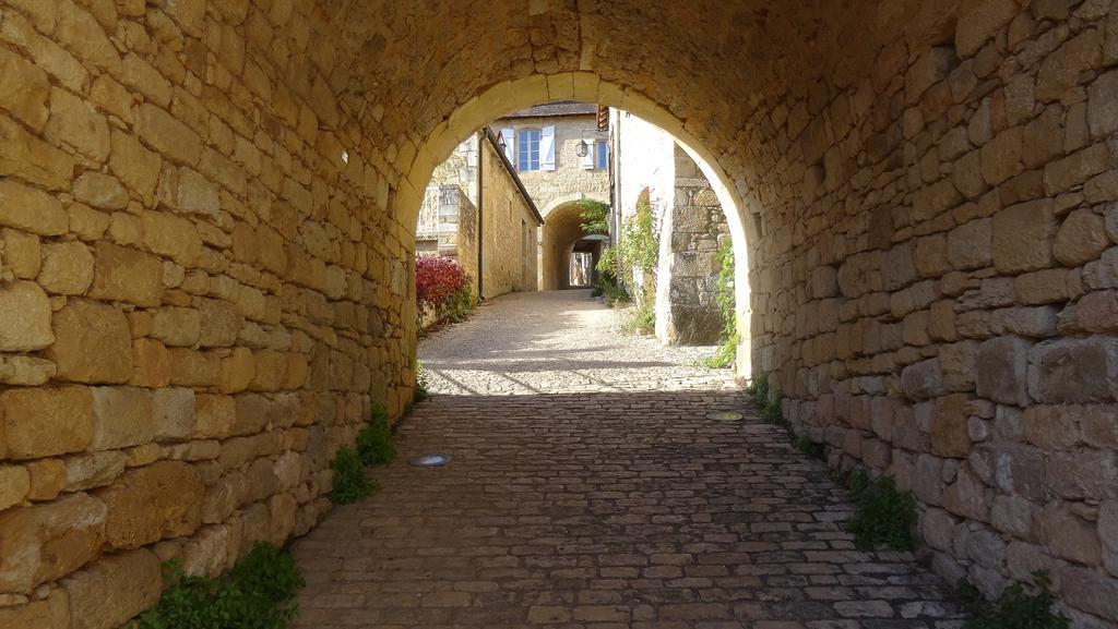 Au Pied Du Chateau - 5 A 11 Personnes - Baignade-Canoe-Piste Cyclable A 100 M Castelnaud-la-Chapelle Exterior foto