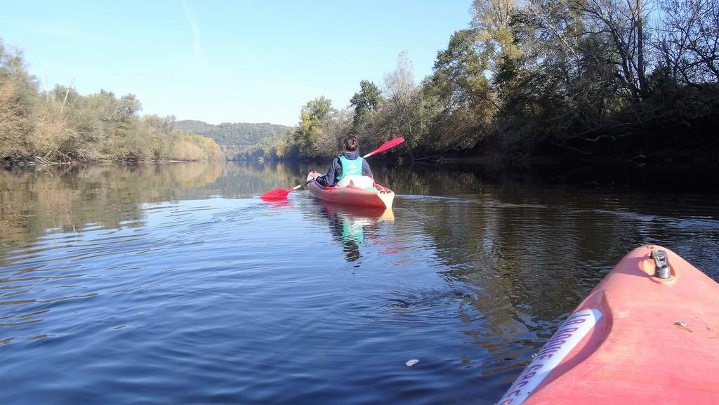 Au Pied Du Chateau - 5 A 11 Personnes - Baignade-Canoe-Piste Cyclable A 100 M Castelnaud-la-Chapelle Exterior foto