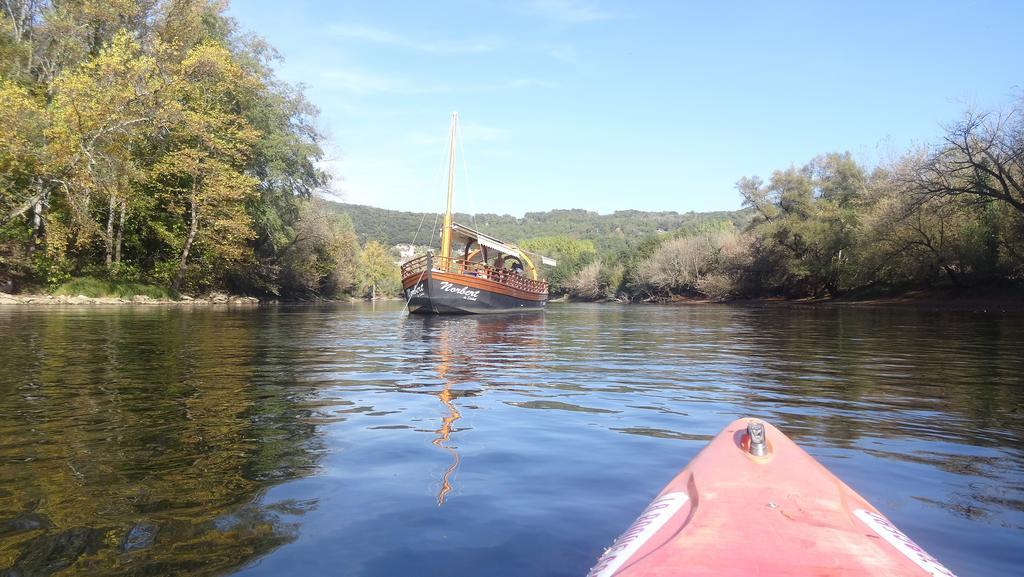 Au Pied Du Chateau - 5 A 11 Personnes - Baignade-Canoe-Piste Cyclable A 100 M Castelnaud-la-Chapelle Exterior foto